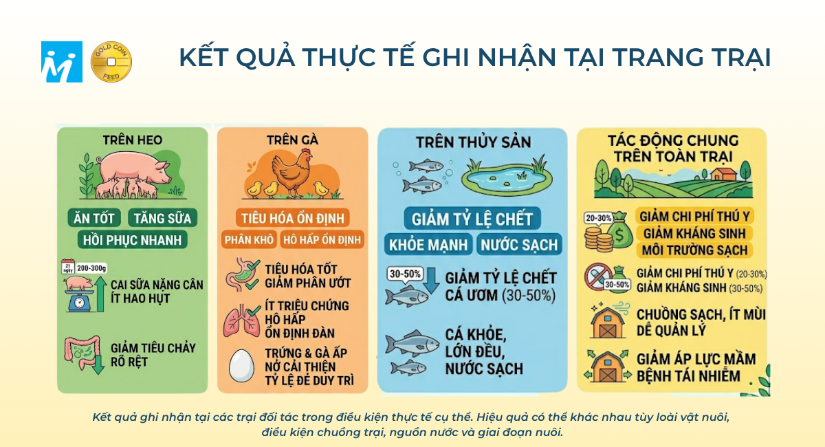 Kết quả thực tế ghi nhận tại trang trại