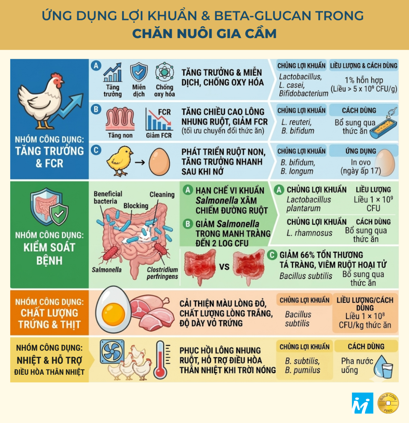 Ứng dụng lợi khuẩn & beta-glucan trong chăn nuôi gia cầm