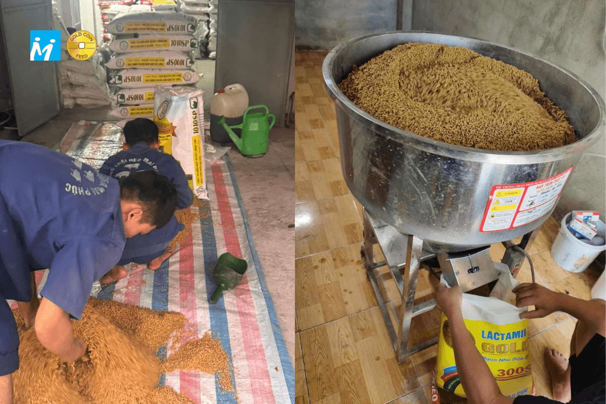 Có thể trộn cám với dụng cụ cầm tay hoặc máy
