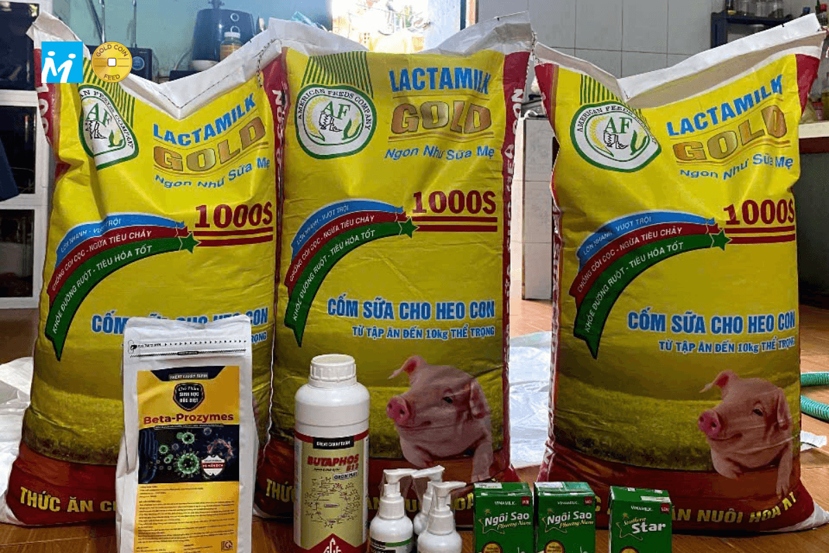 Hãy hỏi kỹ sư / sales Gold Coin Việt Nam để được hướng dẫn ủ cám bằng men vi sinh