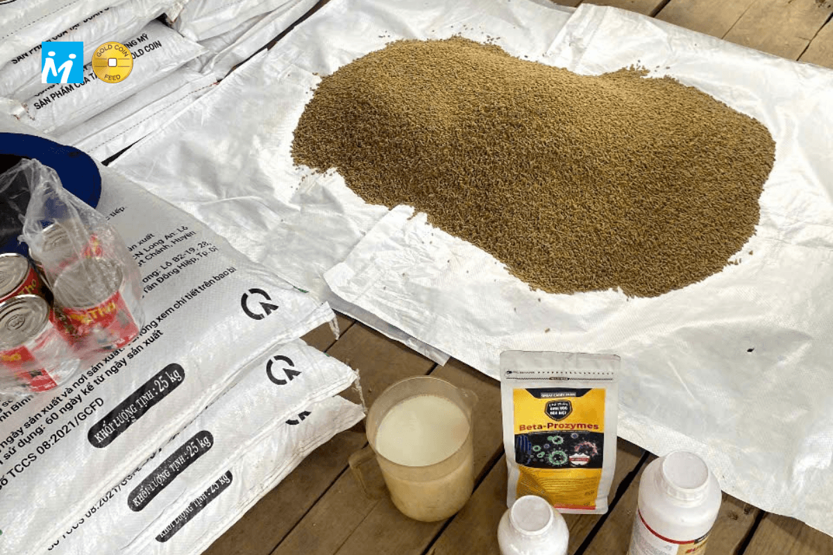 Hòa probiotic, beta-glucan và các phụ gia sinh học vào một phần nước