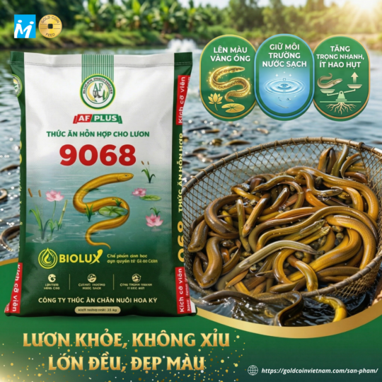 Cám lươn AF 9068 công nghệ BioLux