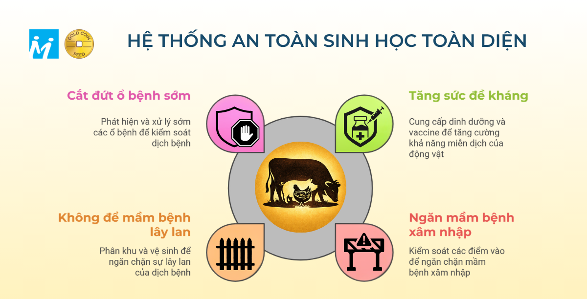 4 tầng bảo vệ an toàn sinh học trong chăn nuôi