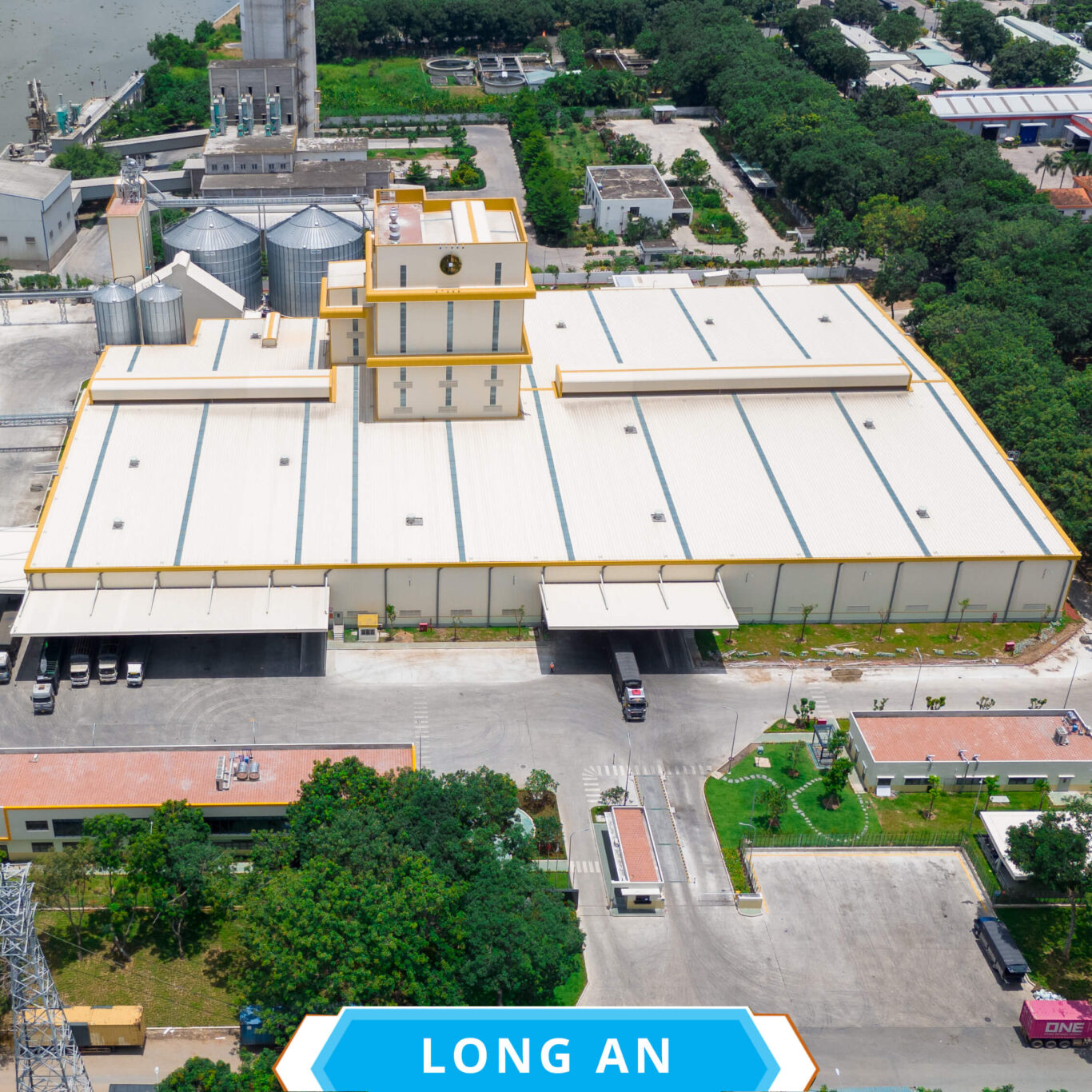 Gold Coin Việt Nam